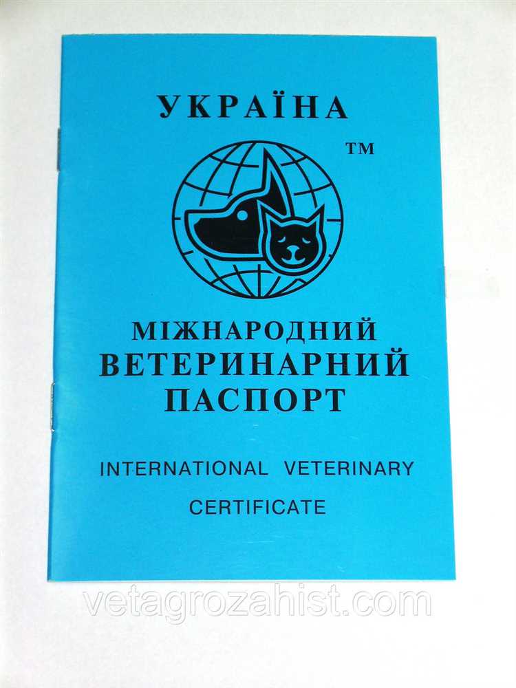Идентификационные данные, вакцинация, анализы и другие важные записи