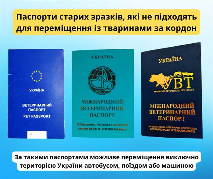 Важность и обязательность владения документом о здоровье домашнего питомца
