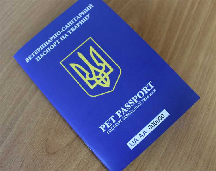 Ветеринарный паспорт для собаки – необходимый документ вашего питомца Ветеринарный паспорт для собаки