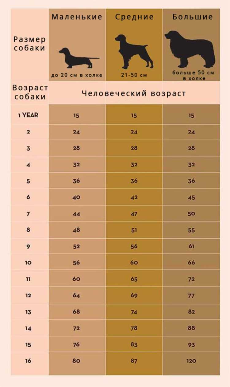 Ранняя жизнь: щенячий период