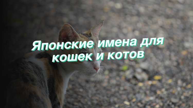 2. Исследуйте японскую культуру и традиции