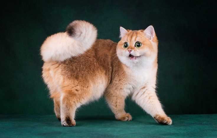 Древние корни